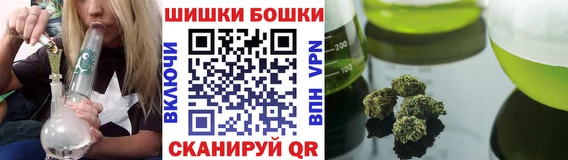 Купить  Заозёрск  Канабис сатива 
